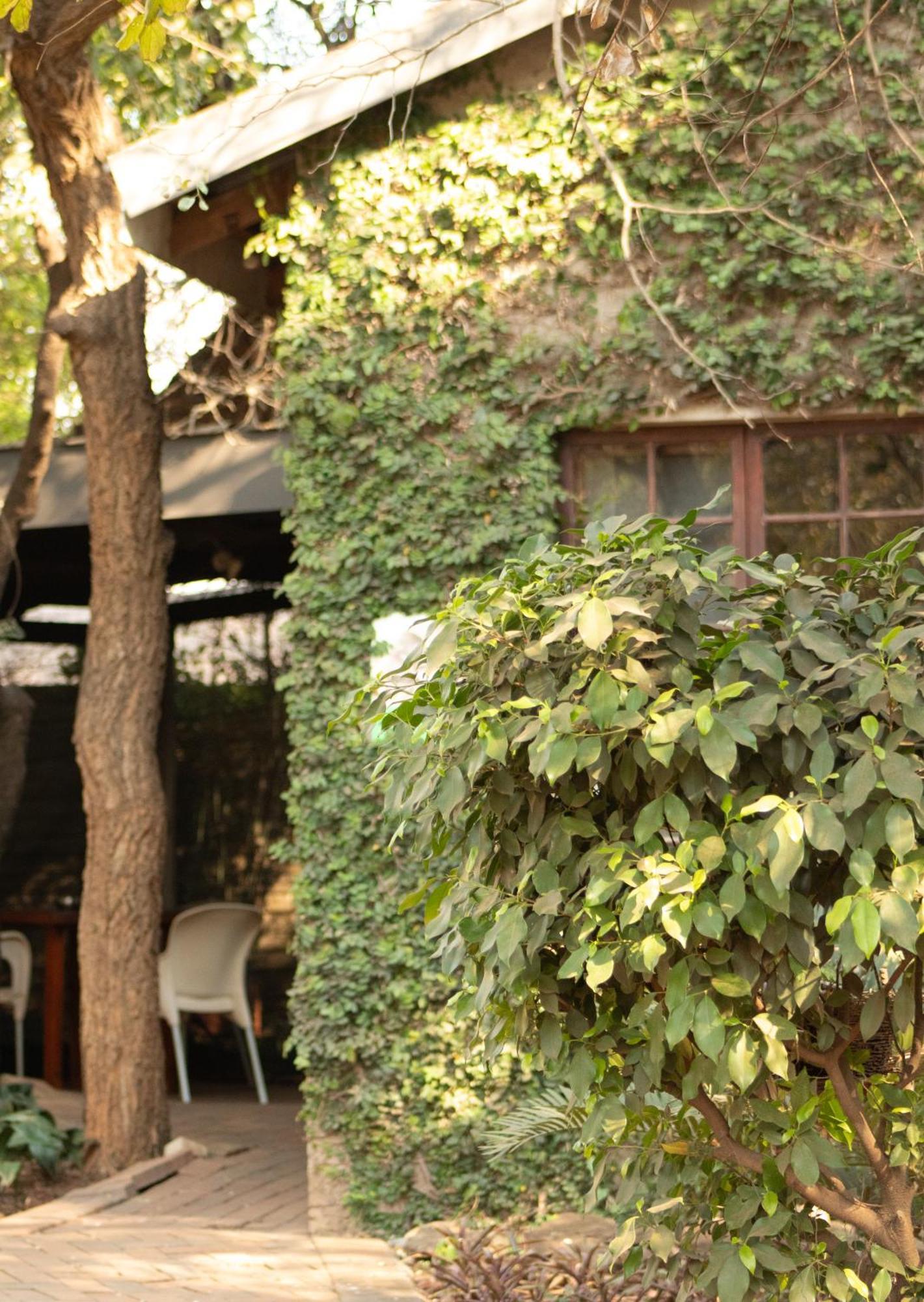 Paradise Creek Lodge Malalane Kültér fotó